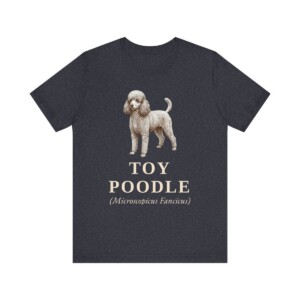 Toy Poodle Latin Shirt, Vintage Dog Sketch Tee, Dog Latin Gift
