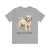 Bolognese Shirt, Vintage Dog Sketch Tee, Dog Lover Gift