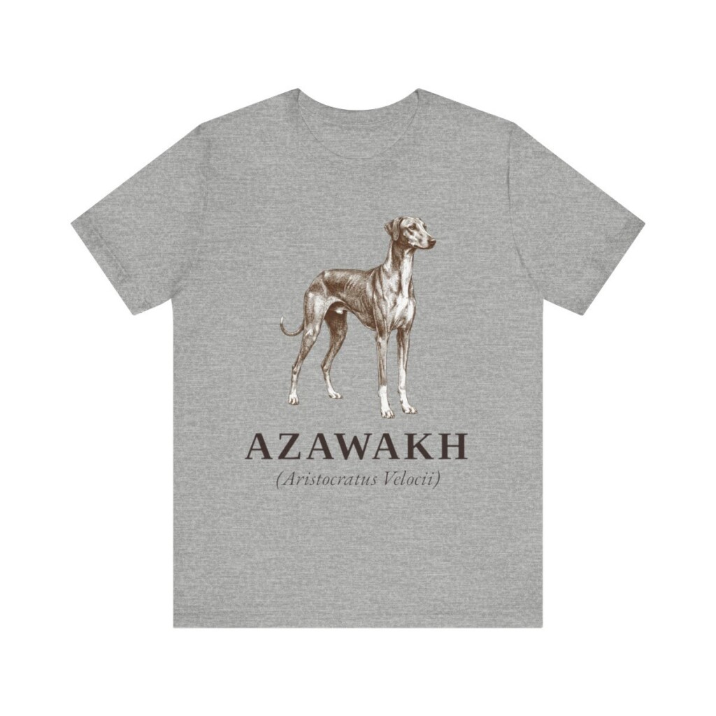Azawakh Latin Shirt, Vintage Dog Sketch Tee, Dog Latin Gift