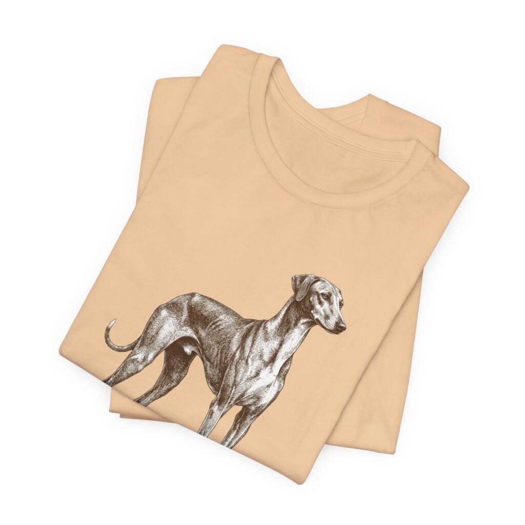 Azawakh Latin Shirt, Vintage Dog Sketch Tee, Dog Latin Gift
