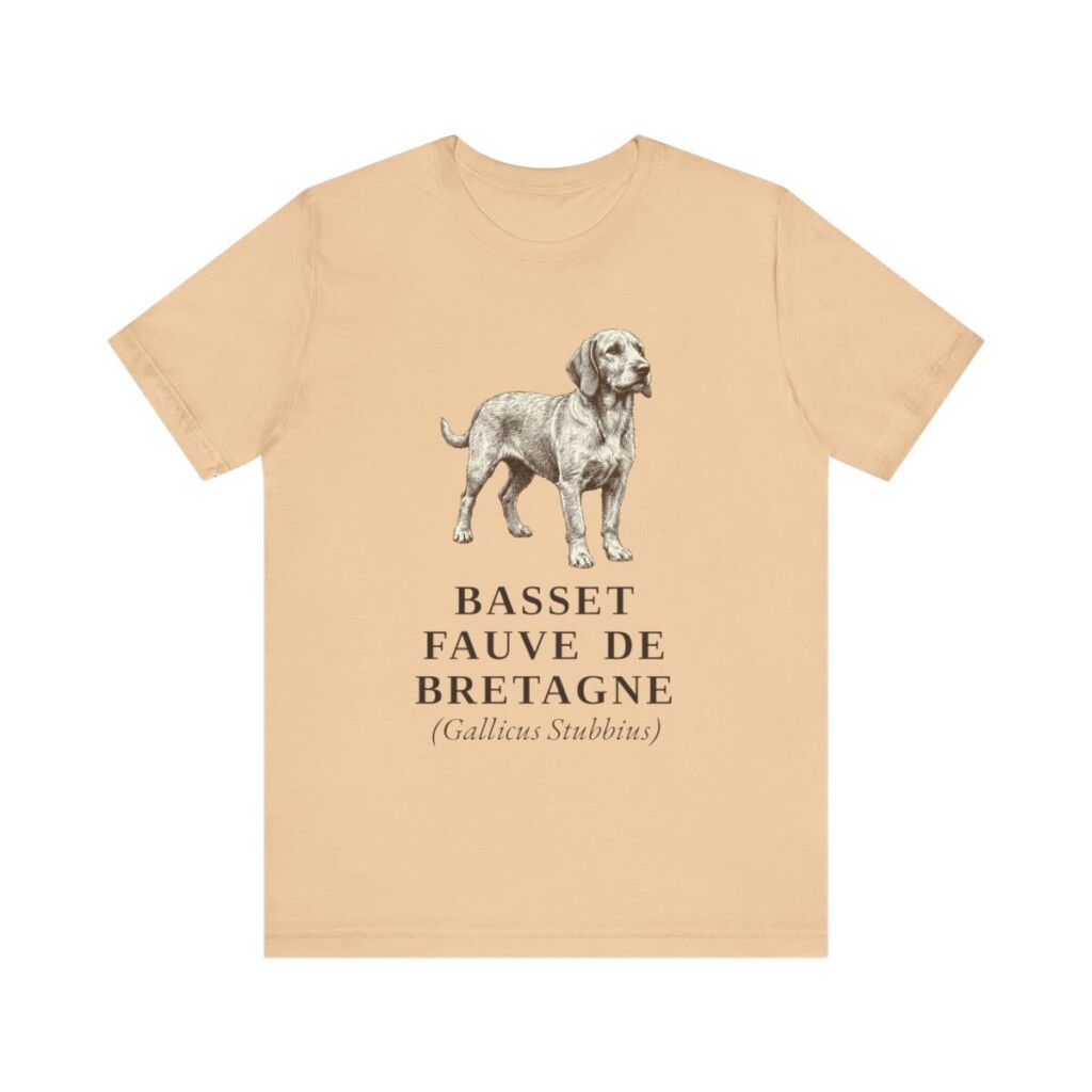 Basset Fauve de Bretagne Latin Shirt, Vintage Dog Sketch Tee, Dog Latin Gift