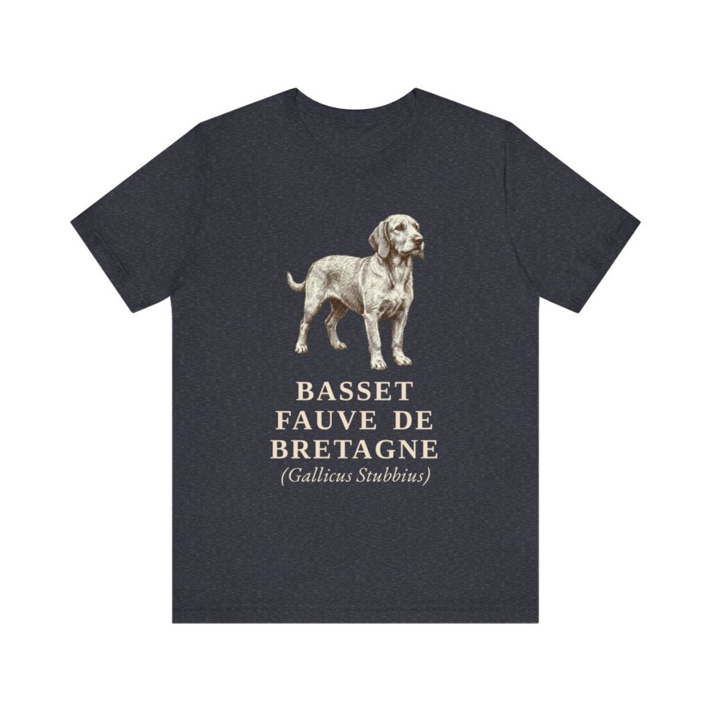 Basset Fauve de Bretagne Latin Shirt, Vintage Dog Sketch Tee, Dog Latin Gift