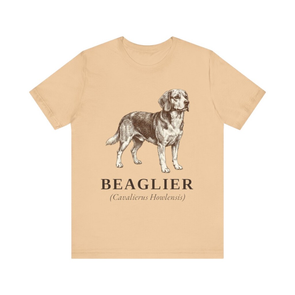Beaglier Latin Shirt, Vintage Dog Sketch Tee, Dog Latin Gift