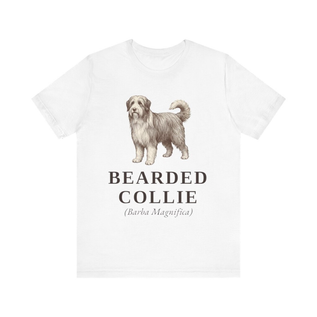 Bearded Collie Latin Shirt, Vintage Dog Sketch Tee, Dog Latin Gift