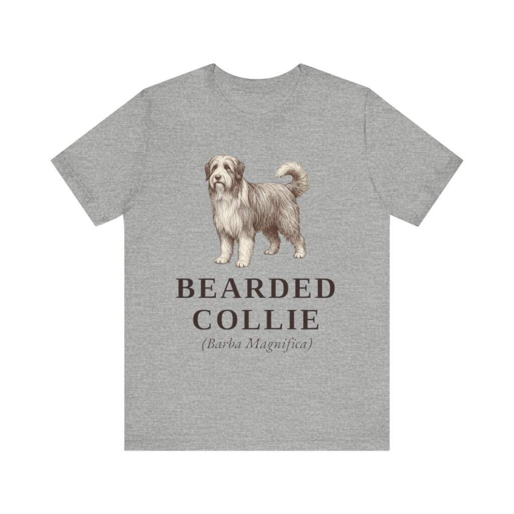 Bearded Collie Latin Shirt, Vintage Dog Sketch Tee, Dog Latin Gift