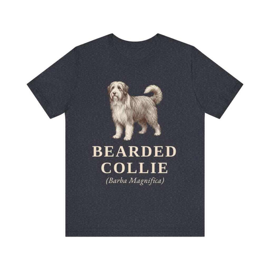Bearded Collie Latin Shirt, Vintage Dog Sketch Tee, Dog Latin Gift