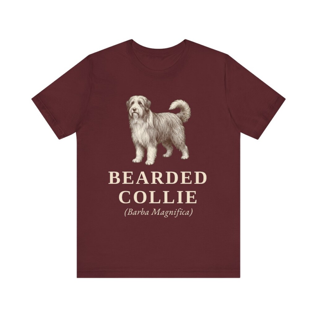 Bearded Collie Latin Shirt, Vintage Dog Sketch Tee, Dog Latin Gift