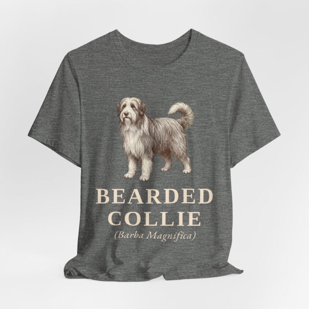 Bearded Collie Latin Shirt, Vintage Dog Sketch Tee, Dog Latin Gift