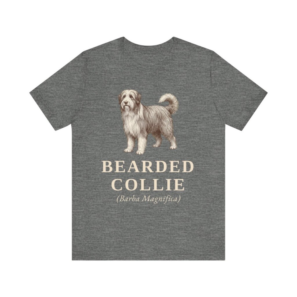Bearded Collie Latin Shirt, Vintage Dog Sketch Tee, Dog Latin Gift