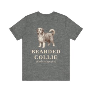 Bearded Collie Latin Shirt, Vintage Dog Sketch Tee, Dog Latin Gift