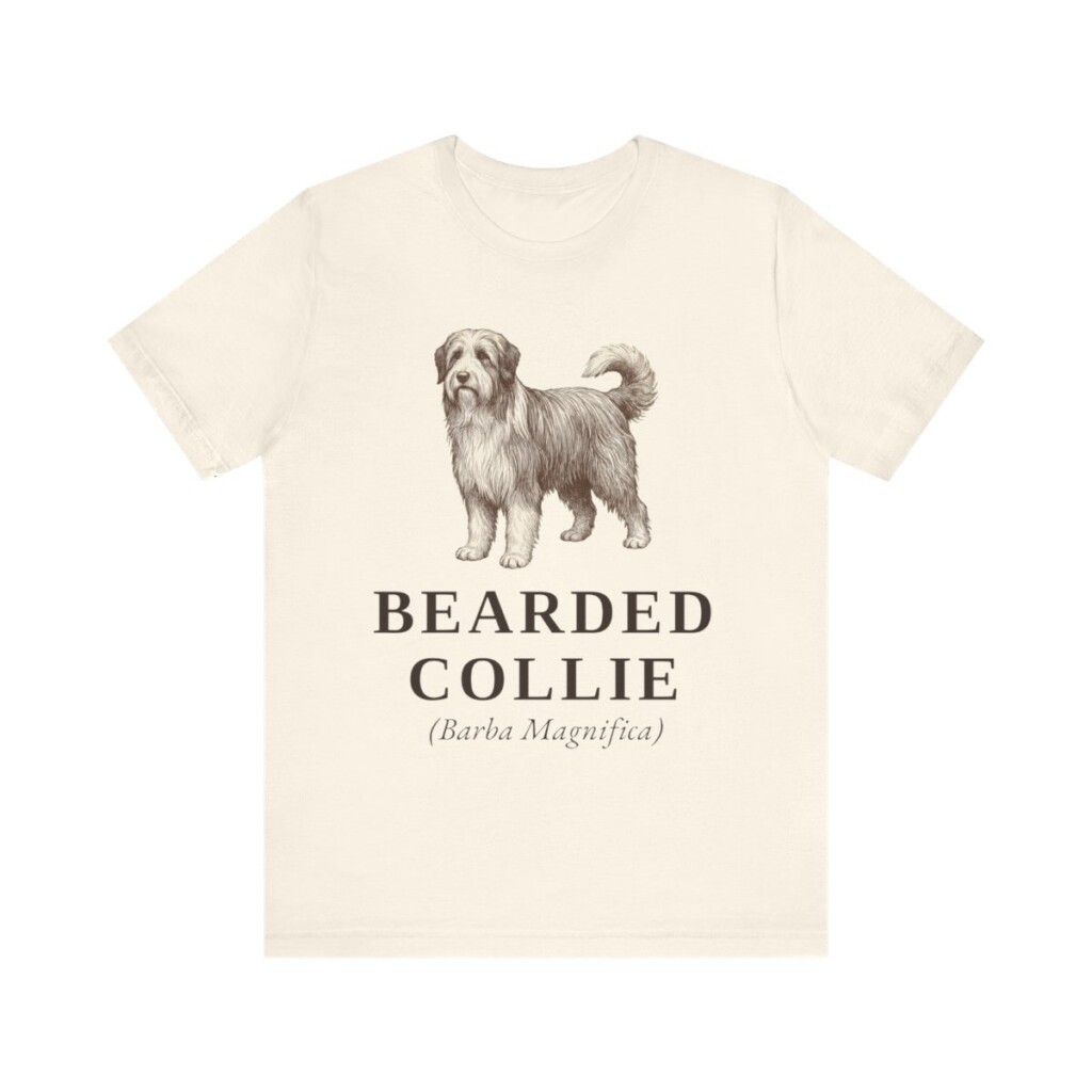 Bearded Collie Latin Shirt, Vintage Dog Sketch Tee, Dog Latin Gift