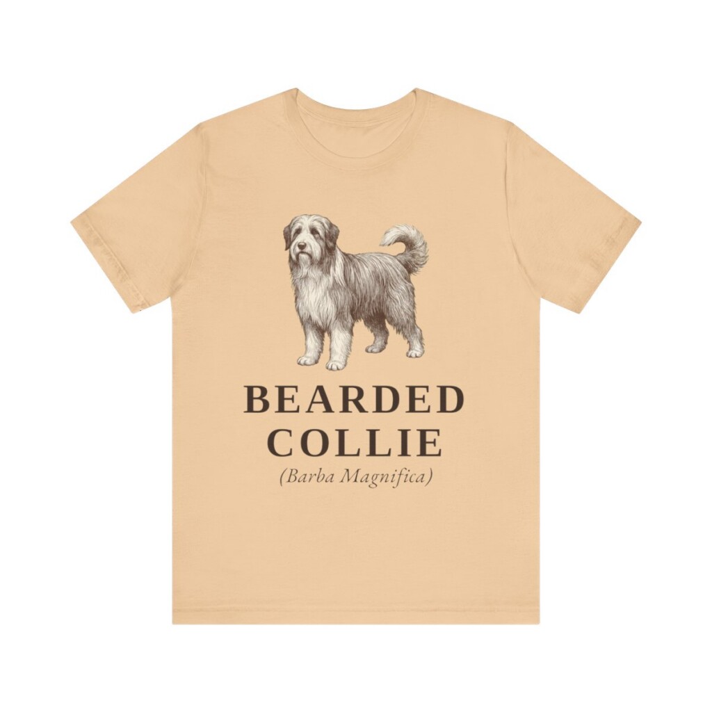 Bearded Collie Latin Shirt, Vintage Dog Sketch Tee, Dog Latin Gift