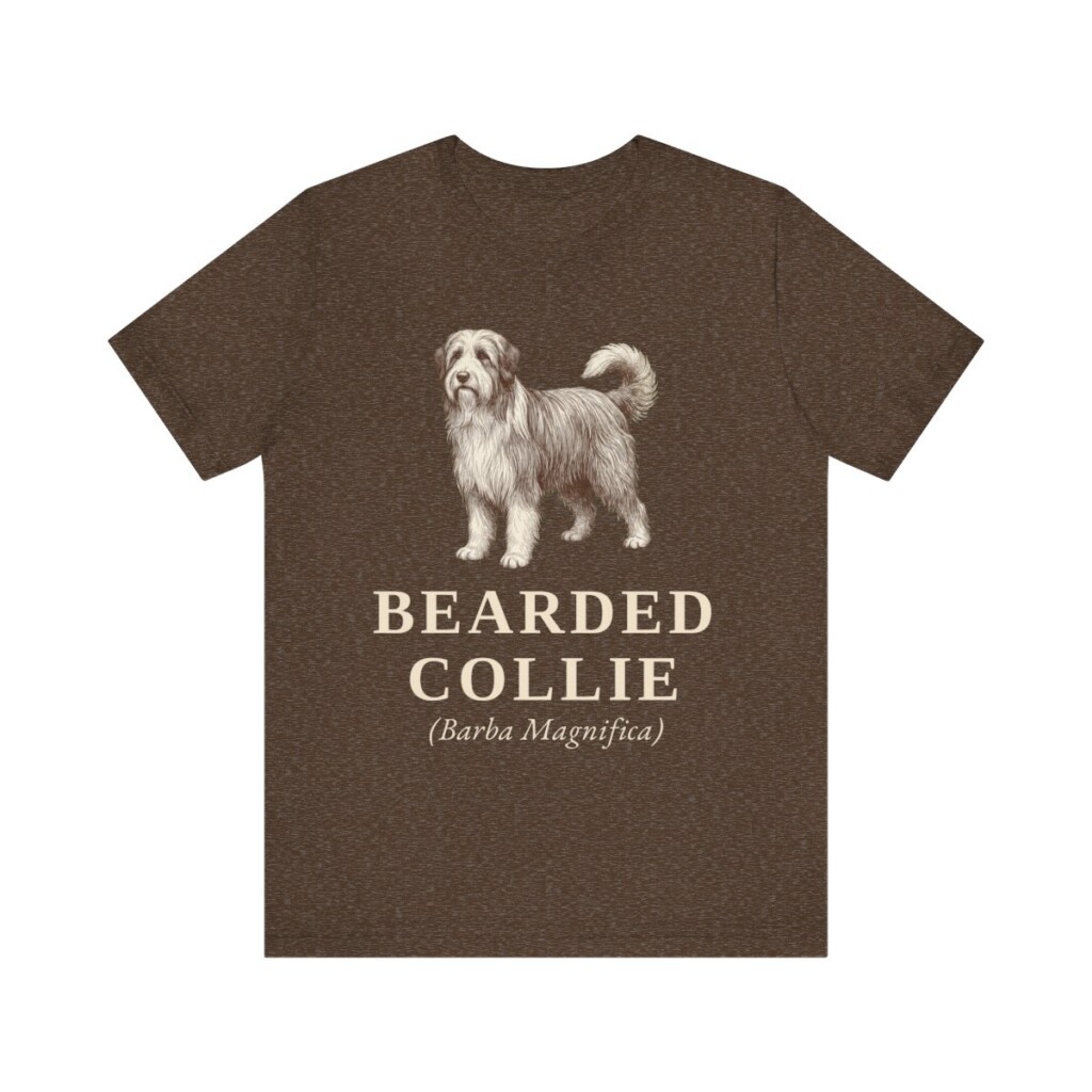 Bearded Collie Latin Shirt, Vintage Dog Sketch Tee, Dog Latin Gift