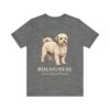 Bolognese Latin Shirt, Vintage Dog Sketch Tee, Dog Latin Gift
