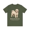 Bolognese Latin Shirt, Vintage Dog Sketch Tee, Dog Latin Gift