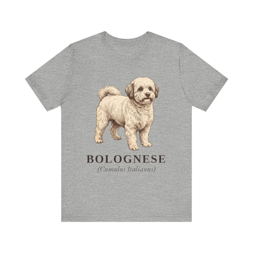 Bolognese Latin Shirt, Vintage Dog Sketch Tee, Dog Latin Gift