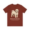 Bolognese Latin Shirt, Vintage Dog Sketch Tee, Dog Latin Gift