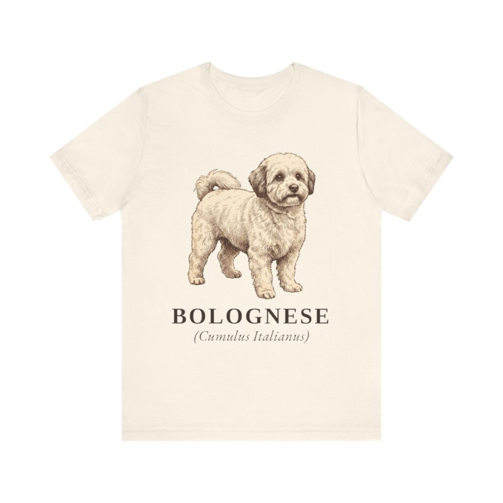 Bolognese Latin Shirt, Vintage Dog Sketch Tee, Dog Latin Gift