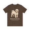 Bolognese Latin Shirt, Vintage Dog Sketch Tee, Dog Latin Gift