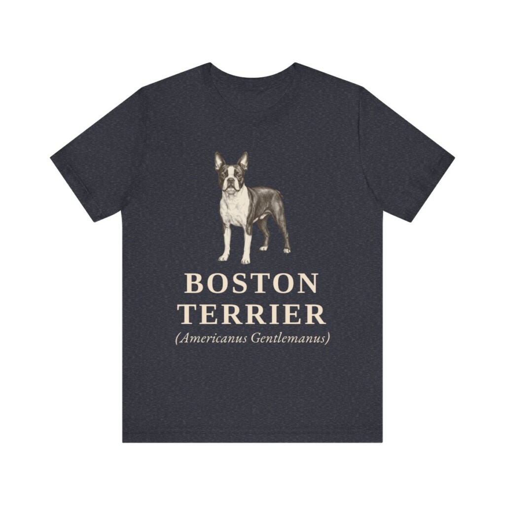 Boston Terrier Latin Shirt, Vintage Dog Sketch Tee, Dog Latin Gift