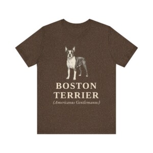 Boston Terrier Latin Shirt, Vintage Dog Sketch Tee, Dog Latin Gift