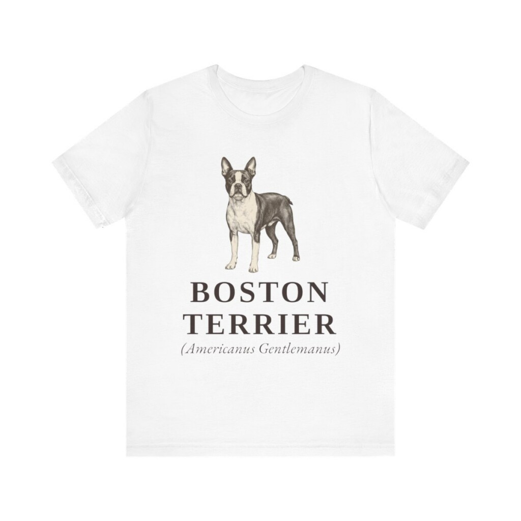 Boston Terrier Latin Shirt, Vintage Dog Sketch Tee, Dog Latin Gift
