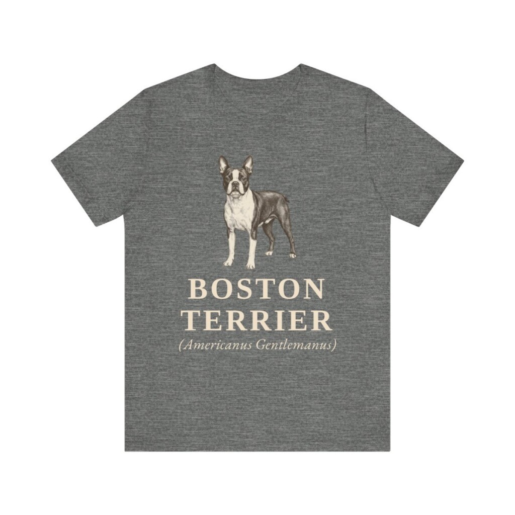 Boston Terrier Latin Shirt, Vintage Dog Sketch Tee, Dog Latin Gift