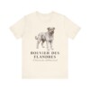 Bouvier des Flandres Latin Shirt, Vintage Dog Sketch Tee, Dog Latin Gift