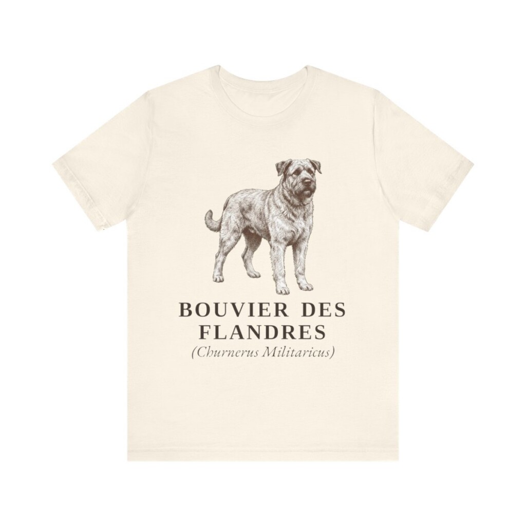 Bouvier des Flandres Latin Shirt, Vintage Dog Sketch Tee, Dog Latin Gift