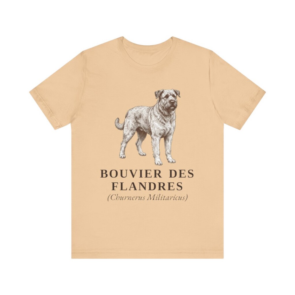 Bouvier des Flandres Latin Shirt, Vintage Dog Sketch Tee, Dog Latin Gift
