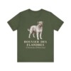 Bouvier des Flandres Latin Shirt, Vintage Dog Sketch Tee, Dog Latin Gift