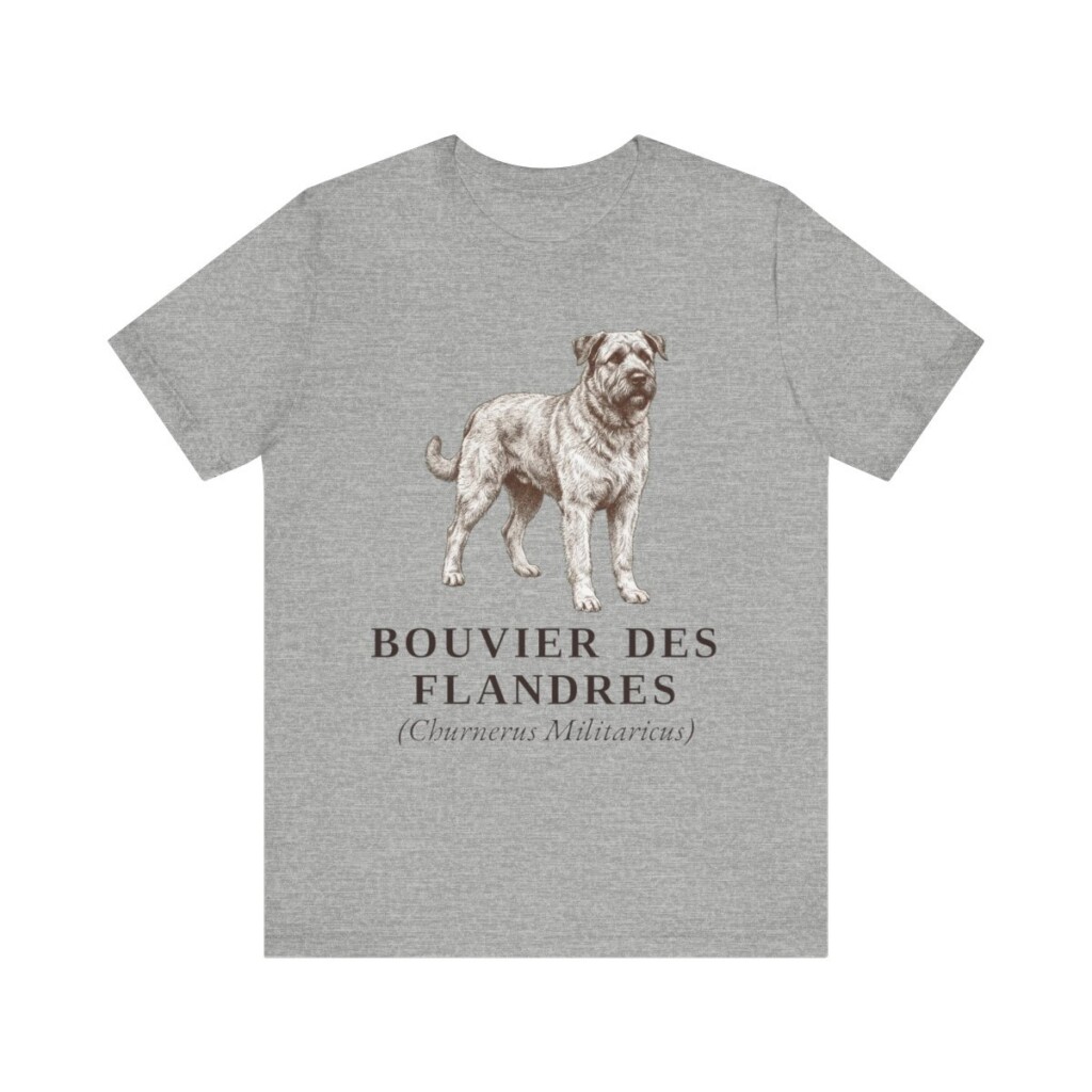 Bouvier des Flandres Latin Shirt, Vintage Dog Sketch Tee, Dog Latin Gift