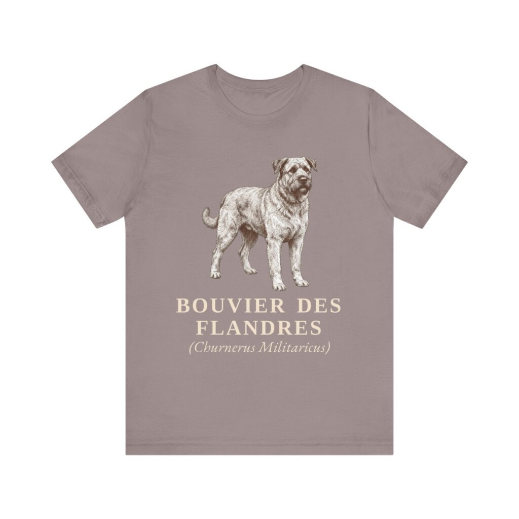 Bouvier des Flandres Latin Shirt, Vintage Dog Sketch Tee, Dog Latin Gift