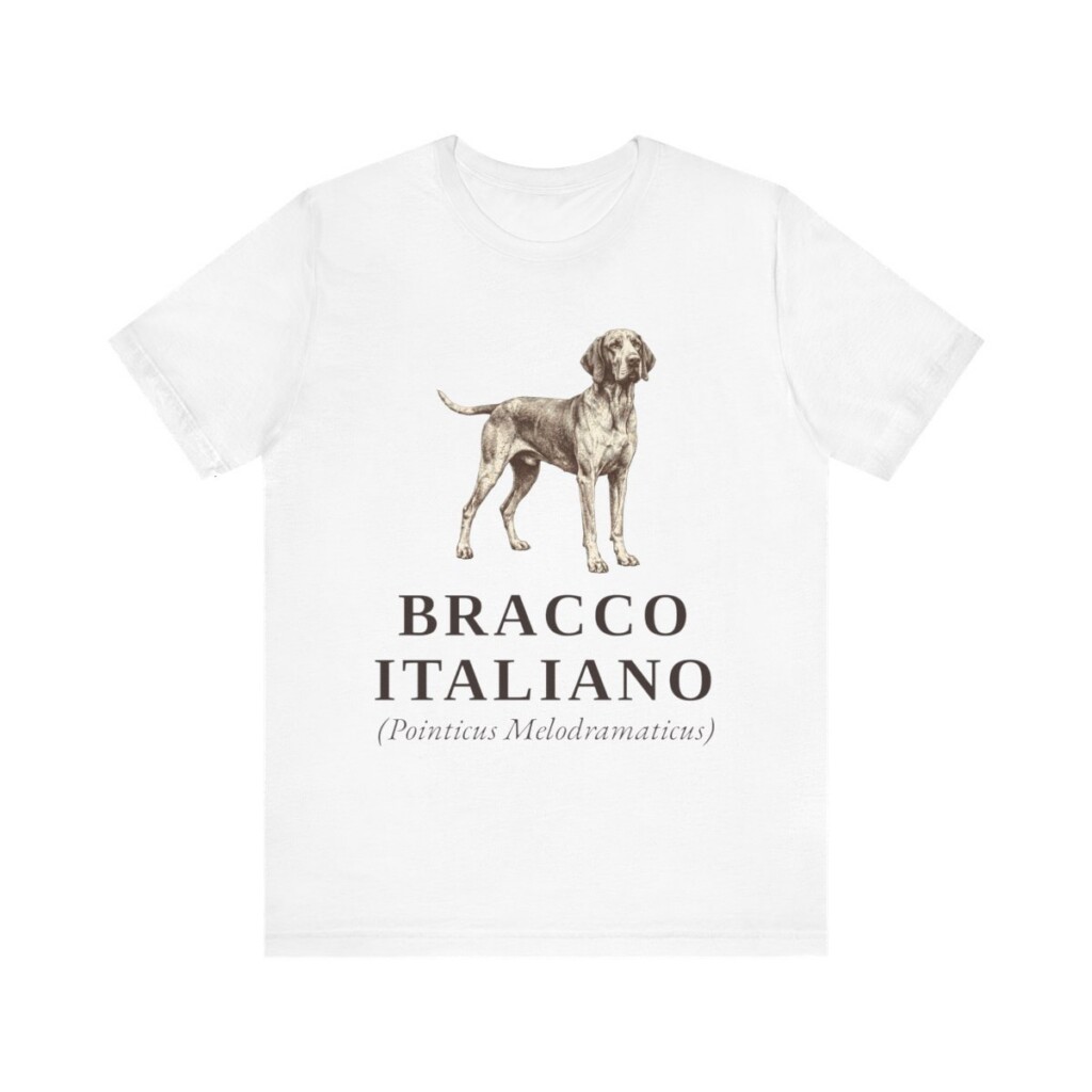 Bracco Italiano Latin Shirt, Vintage Dog Sketch Tee, Dog Latin Gift