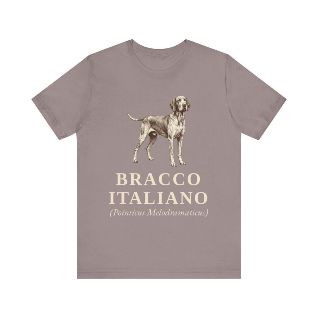 Bracco Italiano Latin Shirt, Vintage Dog Sketch Tee, Dog Latin Gift