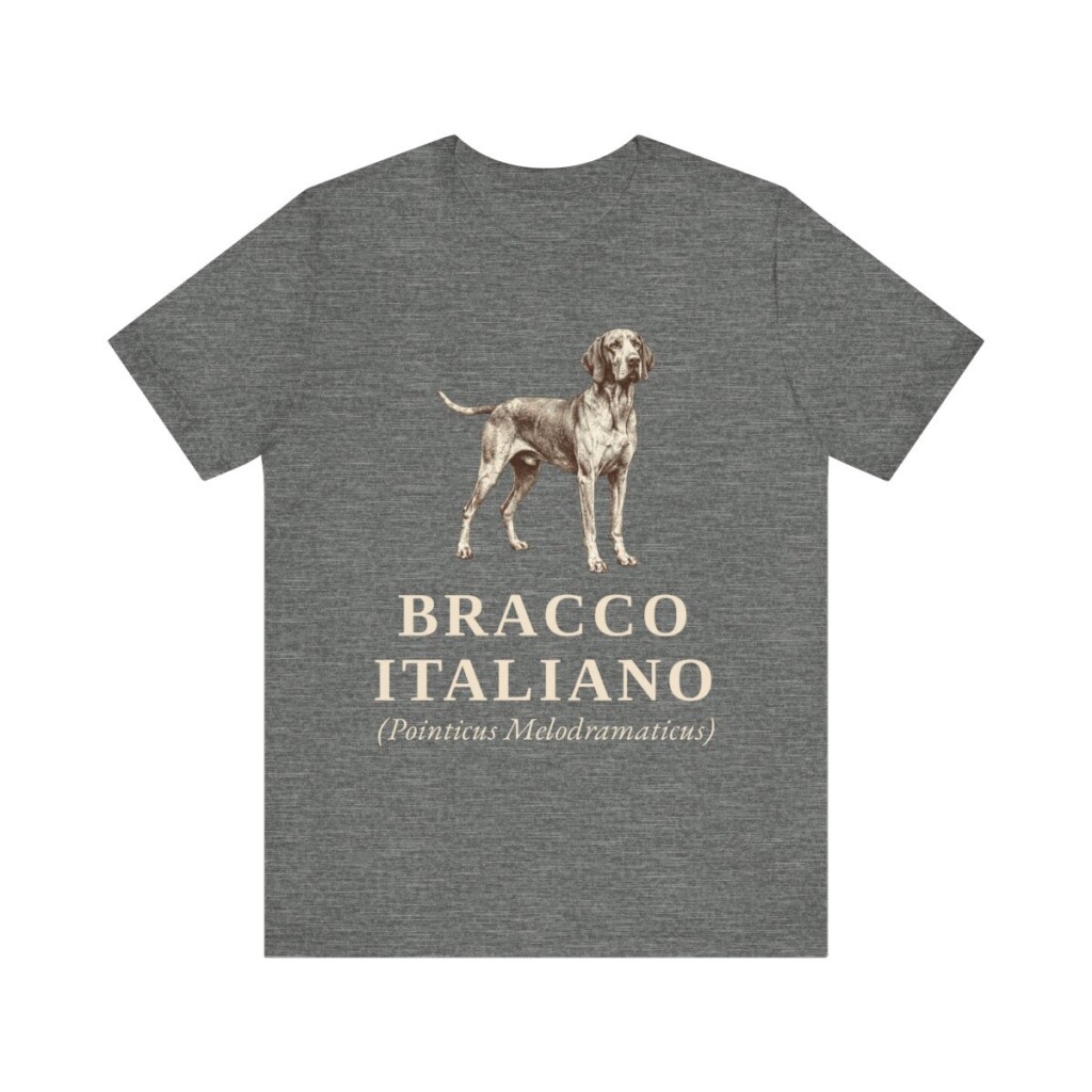 Bracco Italiano Latin Shirt, Vintage Dog Sketch Tee, Dog Latin Gift