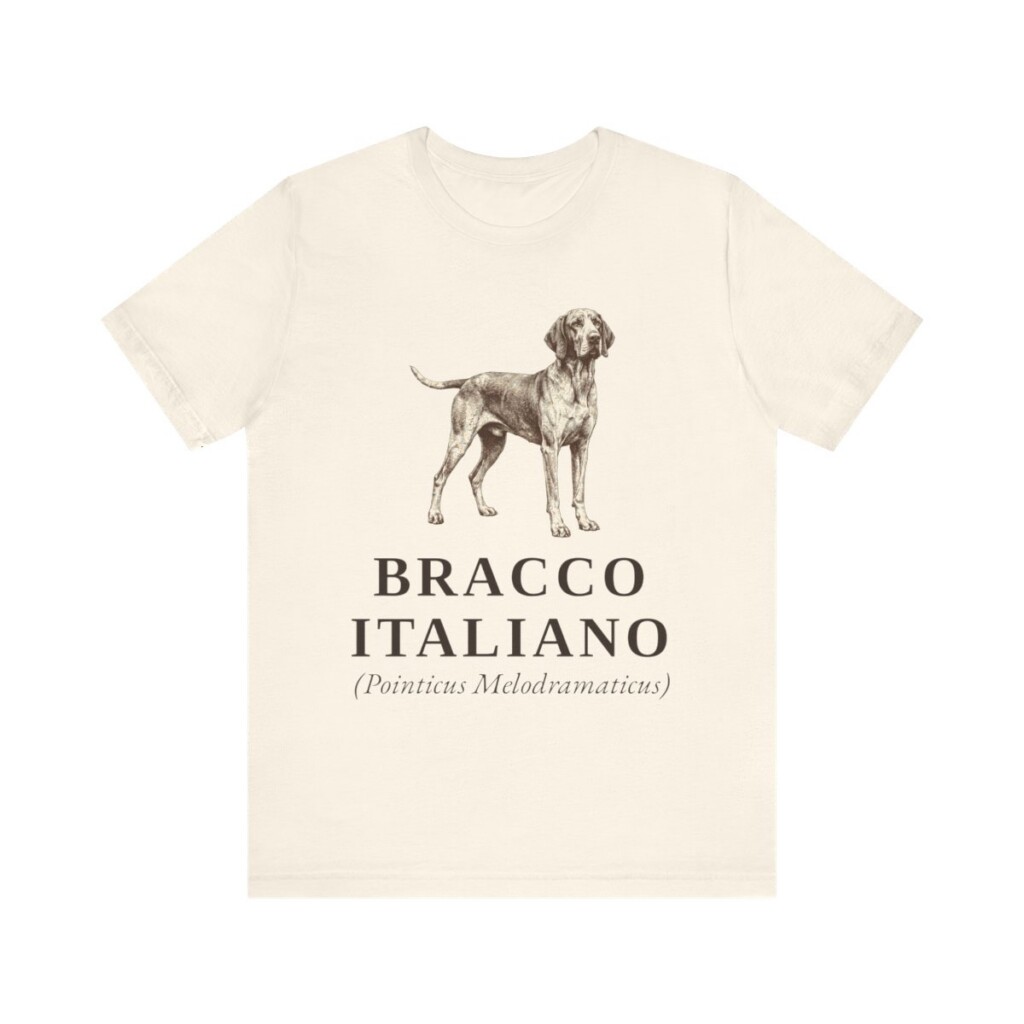 Bracco Italiano Latin Shirt, Vintage Dog Sketch Tee, Dog Latin Gift
