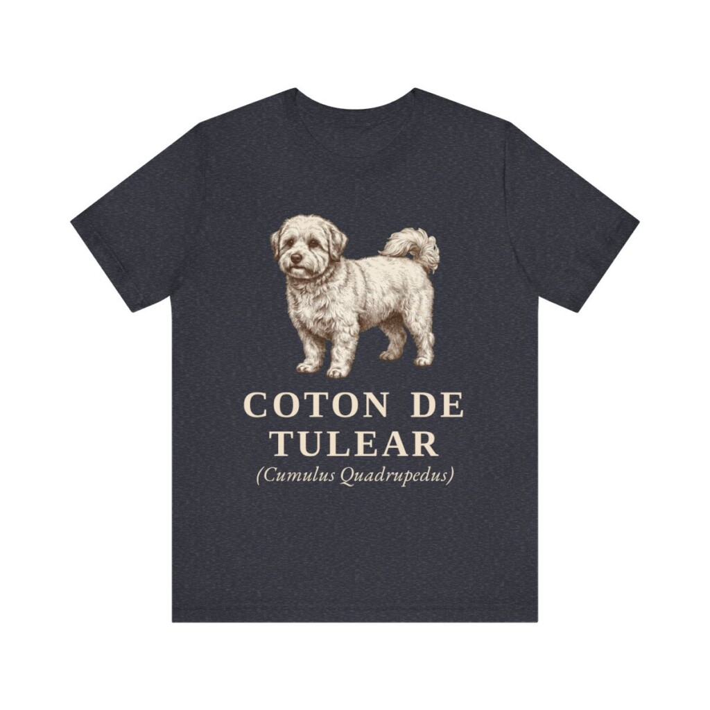 Coton de Tulear Latin Shirt, Vintage Dog Sketch Tee, Dog Latin Gift Coton de Tulear Latin Shirt, Vintage Dog Sketch Tee, Dog Latin Gift