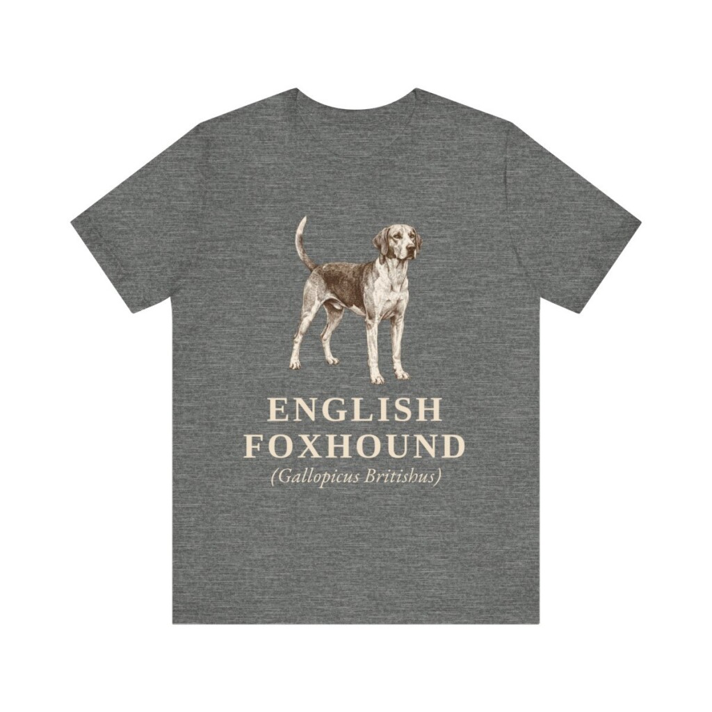 English Foxhound Latin Shirt, Vintage Dog Sketch Tee, Dog Latin Gift