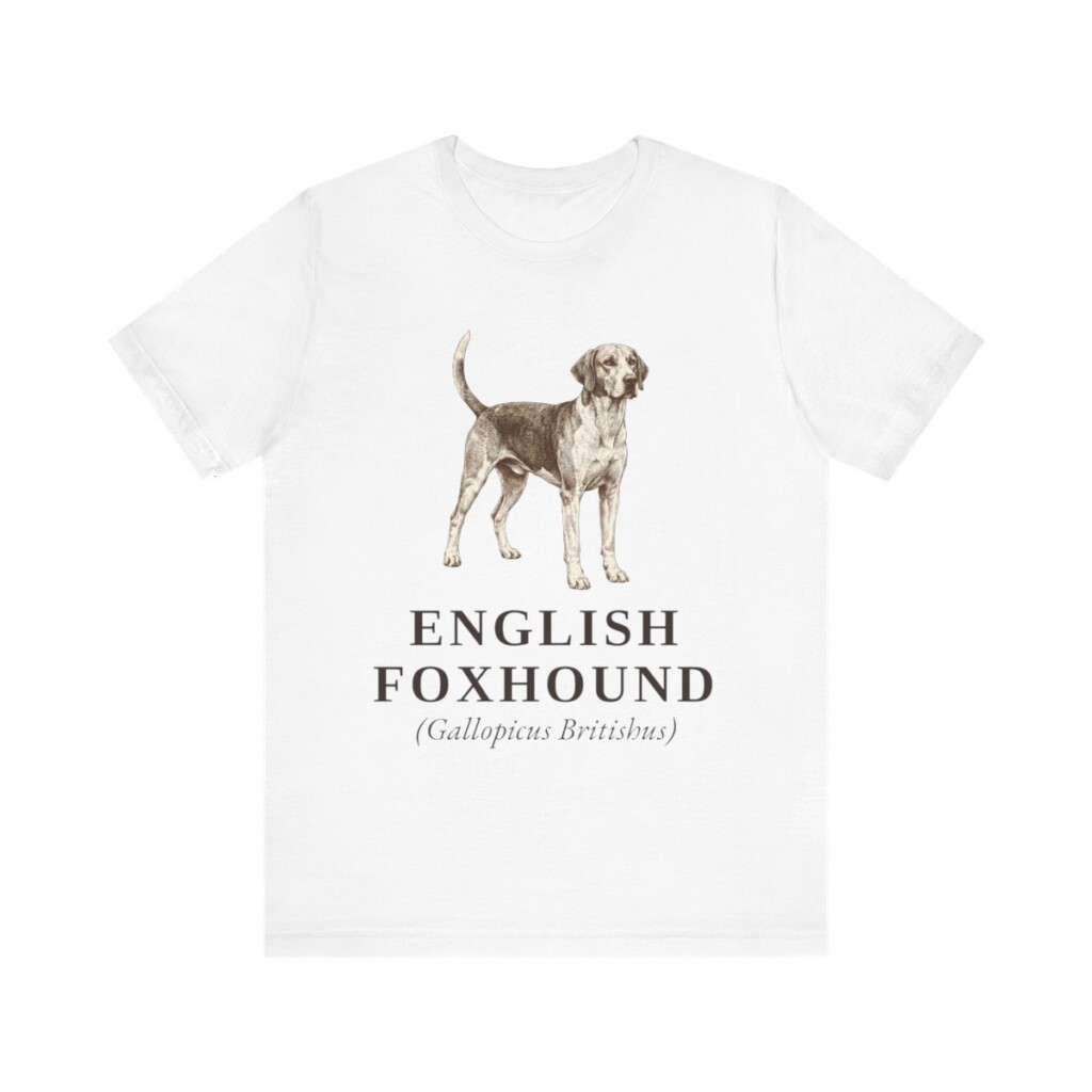 English Foxhound Latin Shirt, Vintage Dog Sketch Tee, Dog Latin Gift