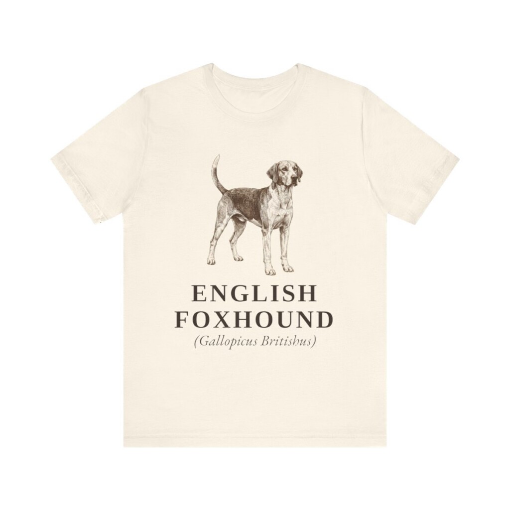 English Foxhound Latin Shirt, Vintage Dog Sketch Tee, Dog Latin Gift