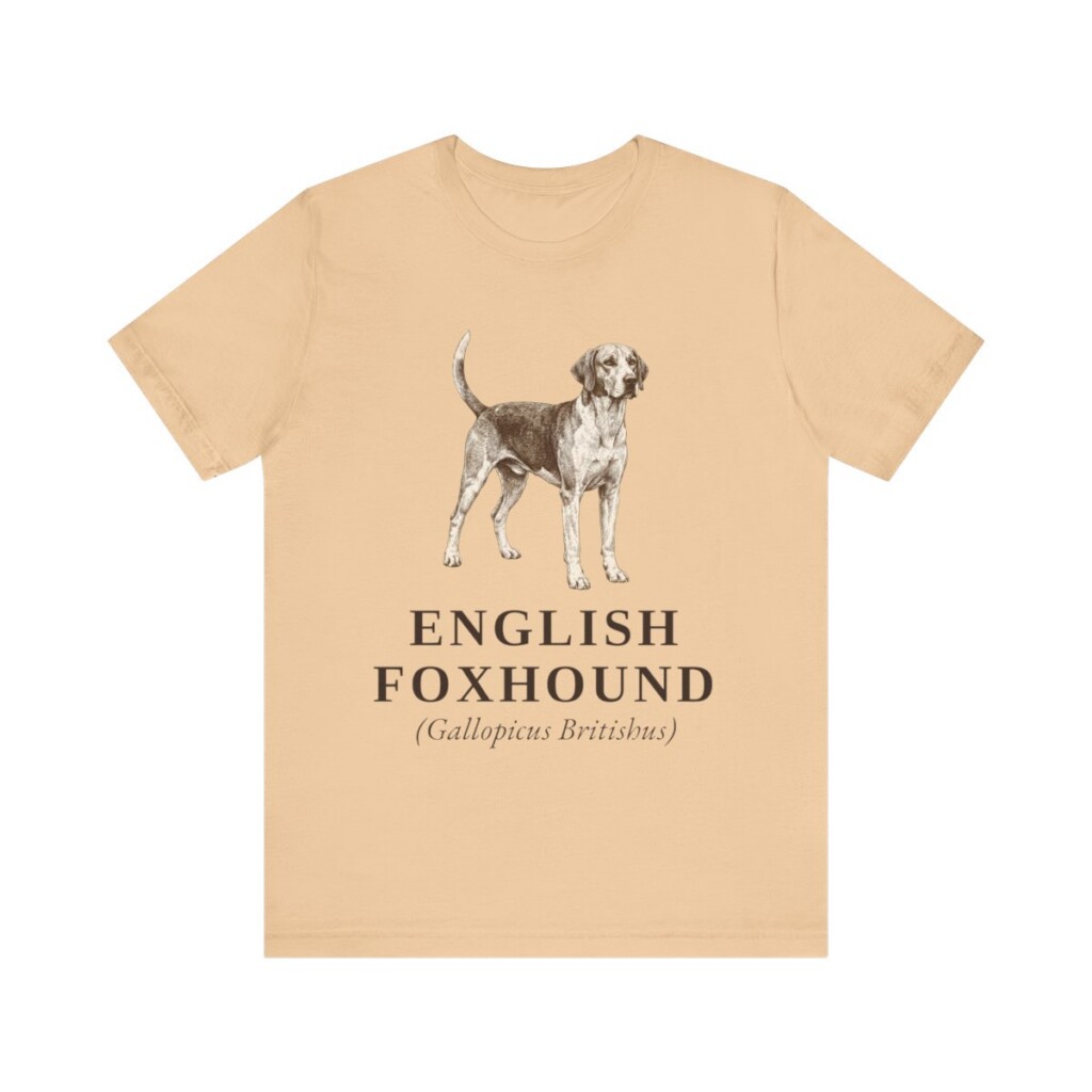 English Foxhound Latin Shirt, Vintage Dog Sketch Tee, Dog Latin Gift