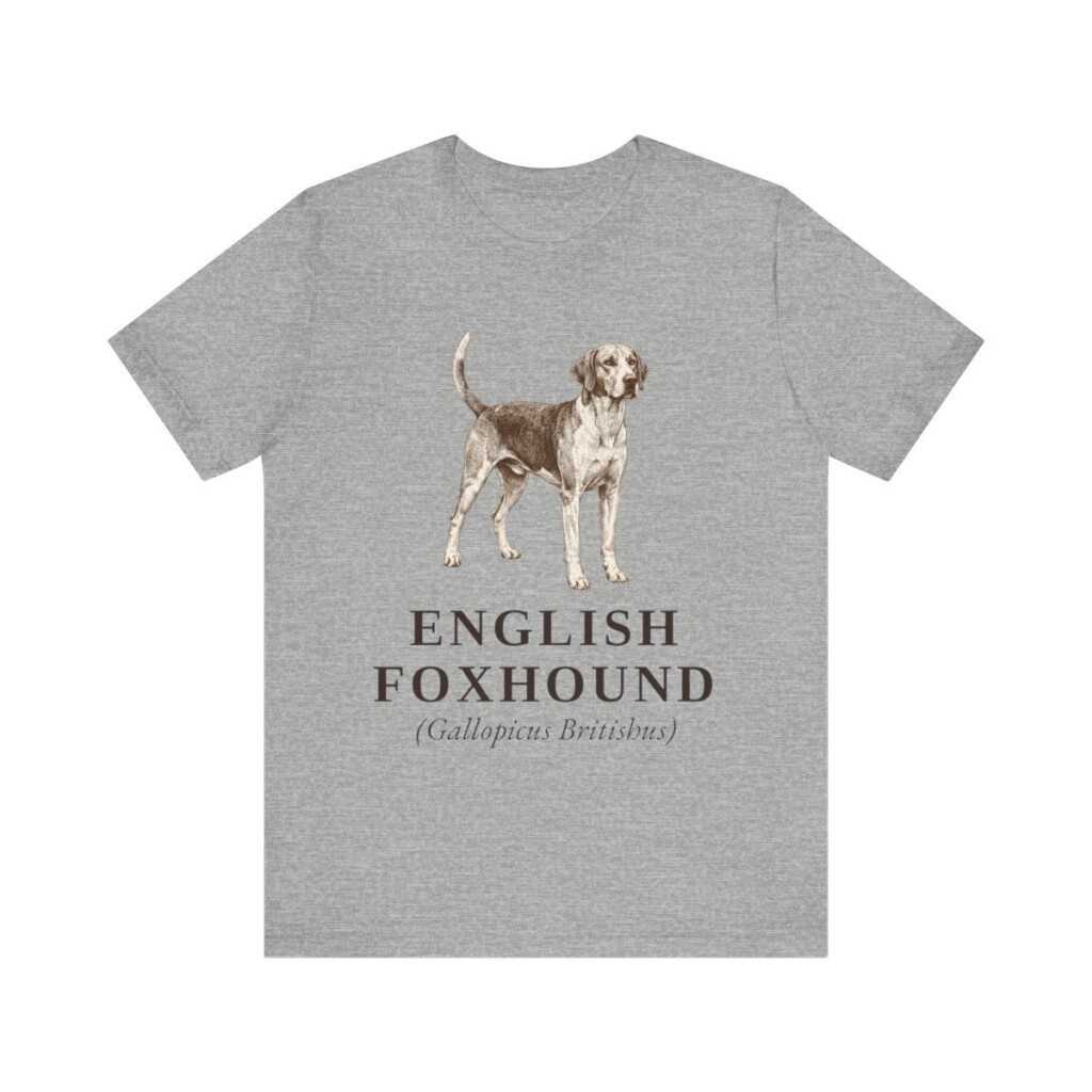 English Foxhound Latin Shirt, Vintage Dog Sketch Tee, Dog Latin Gift