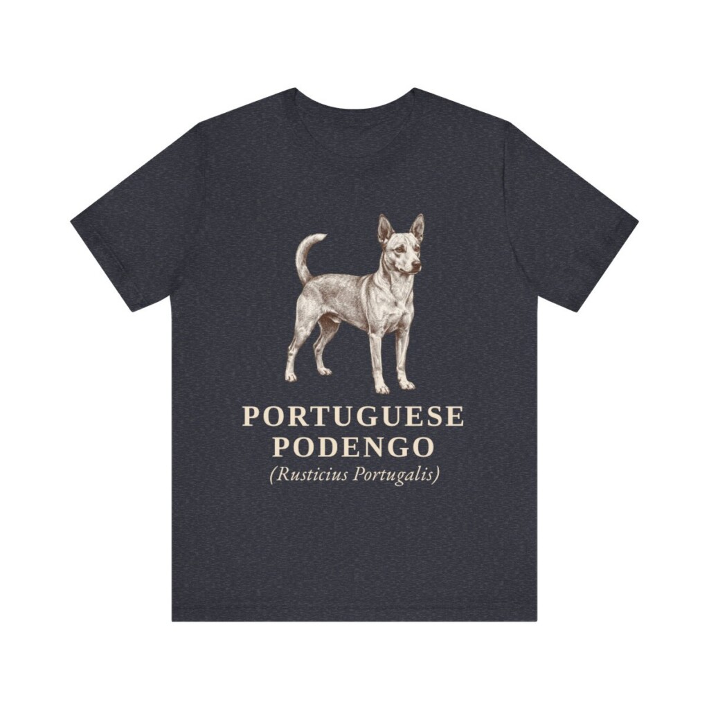 portuguese-podengo-latin-shirt-vintage-dog-sketch-tee-dog-latin-gift-62.jpg Portuguese Podengo Latin Shirt, Vintage Dog Sketch Tee, Dog Latin Gift
