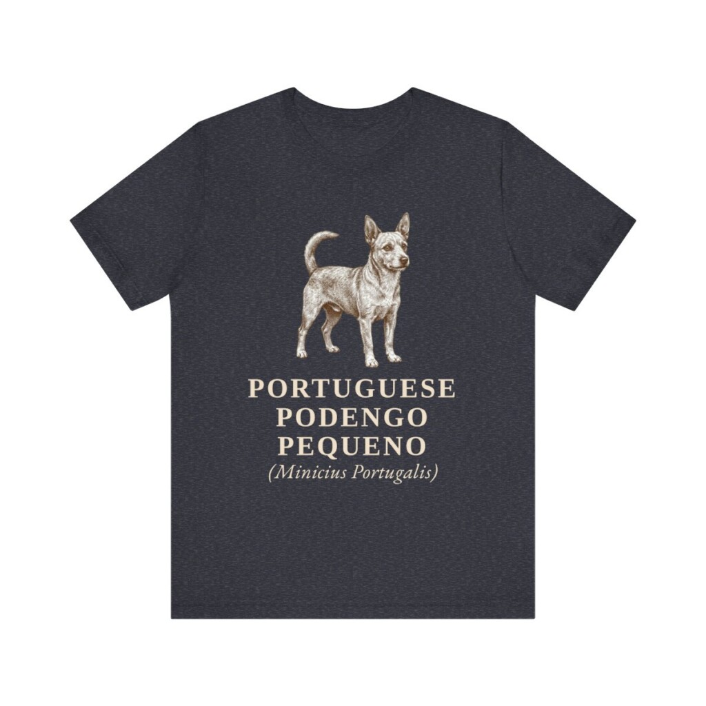 Portuguese Podengo Pequeno Latin Shirt, Vintage Dog Sketch Tee, Dog Latin Gift