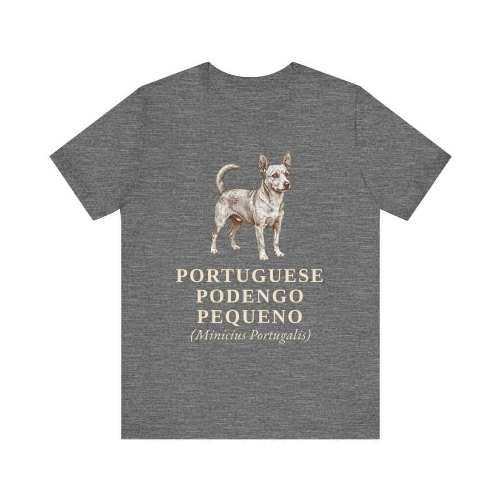 Portuguese Podengo Pequeno Latin Shirt, Vintage Dog Sketch Tee, Dog Latin Gift