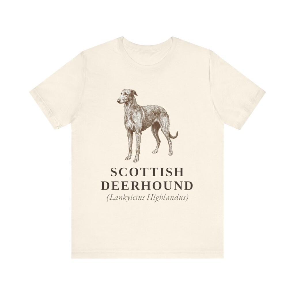 Scottish Deerhound Latin Shirt, Vintage Dog Sketch Tee, Dog Latin Gift