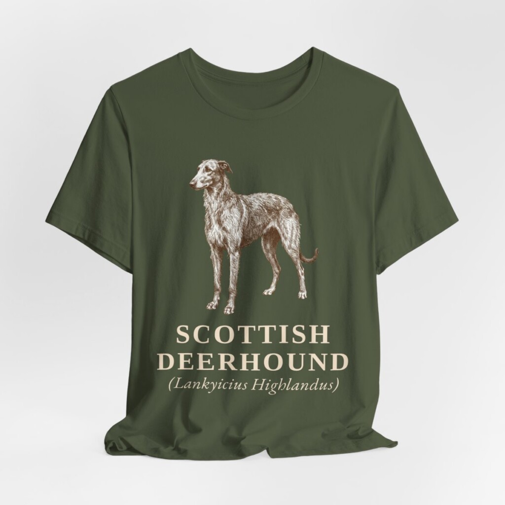 Scottish Deerhound Latin Shirt, Vintage Dog Sketch Tee, Dog Latin Gift