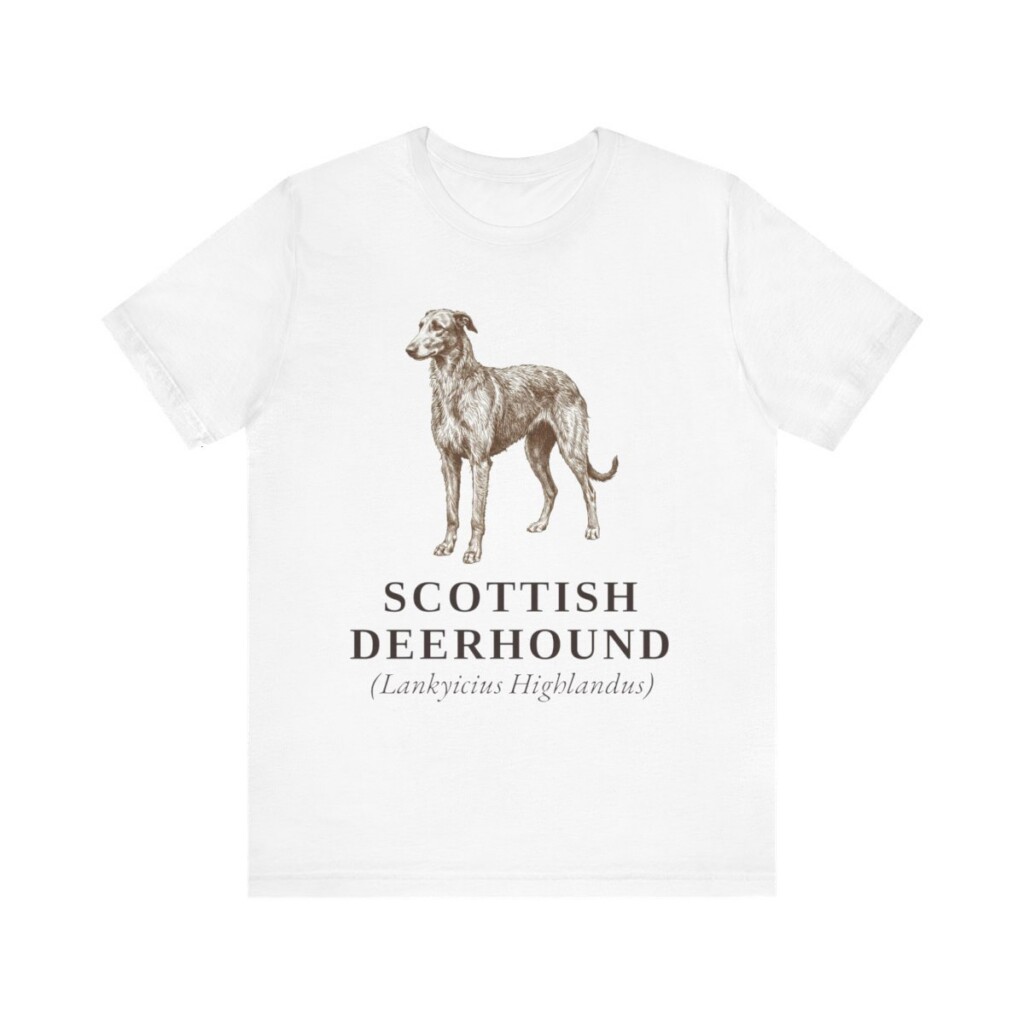 Scottish Deerhound Latin Shirt, Vintage Dog Sketch Tee, Dog Latin Gift