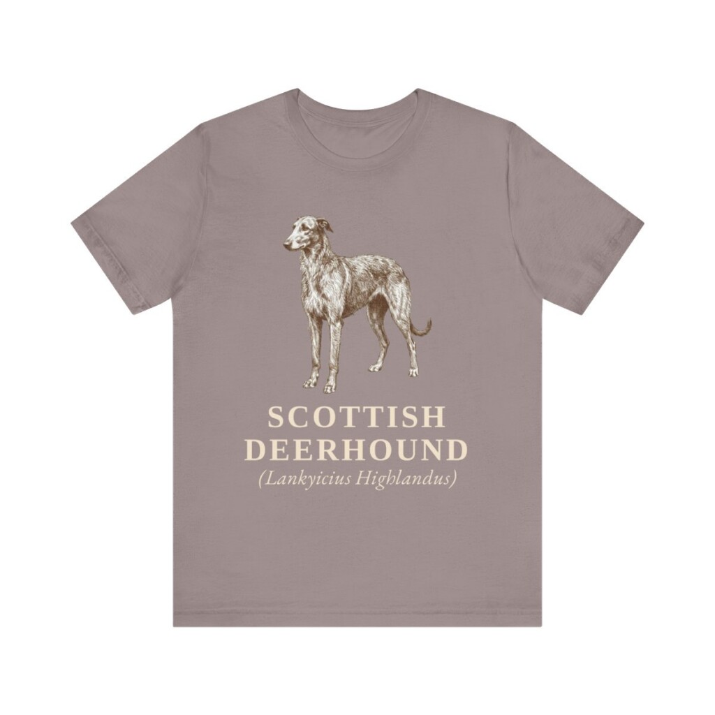 Scottish Deerhound Latin Shirt, Vintage Dog Sketch Tee, Dog Latin Gift